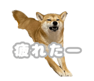 672285829