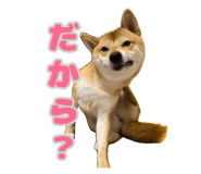 672285831