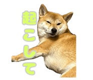 672285832