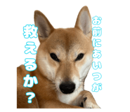 672285834