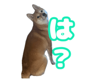 672285835