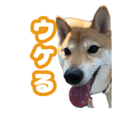 672285836