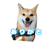 672285837