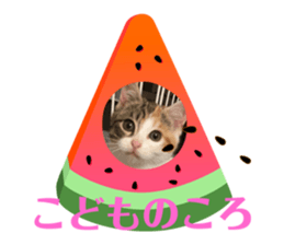 672286565