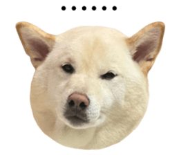 672298211