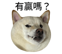 672298212