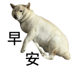 672298216