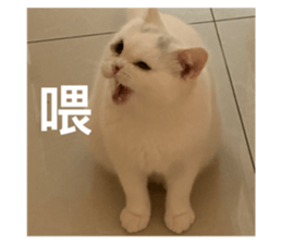 672300105