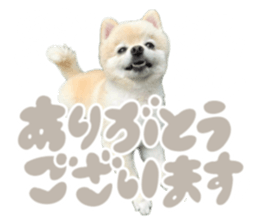 672312077