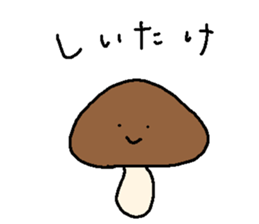 672323312