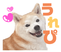 672380015