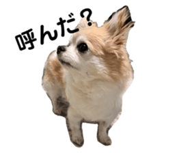 672380124