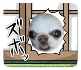 672399139