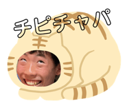 672443358