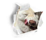 672443582