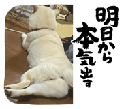 672443595