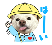 672443599