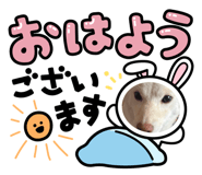 672443607