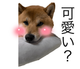 672450296