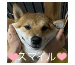 672450304
