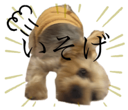 672451314