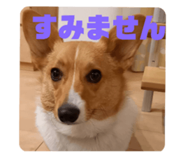 672451337