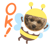 672453752