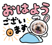 672453753