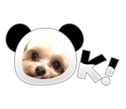 672453755