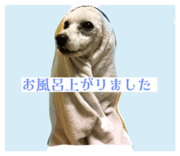 672456654