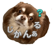 672459524