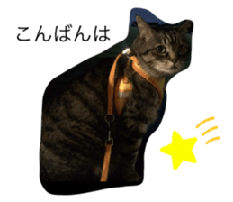 672461325