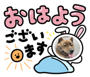 672474270