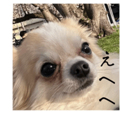 672476763