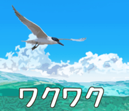 672499188