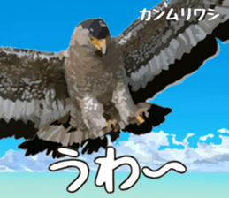 672499192
