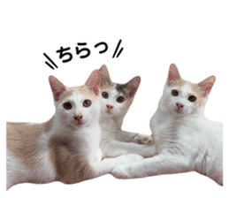 672506044