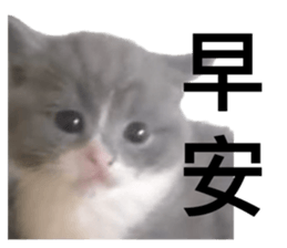 672518222