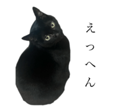 672520310