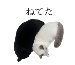 672520323