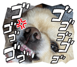 672520629
