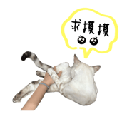 672522198