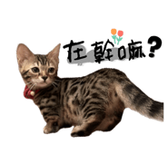 672522204