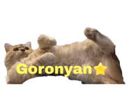 672529680