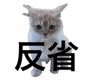 672529688