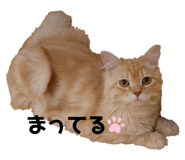 672529691