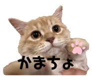 672529692