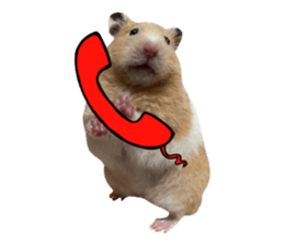 672532603
