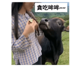672537492
