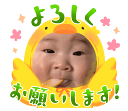 672550335